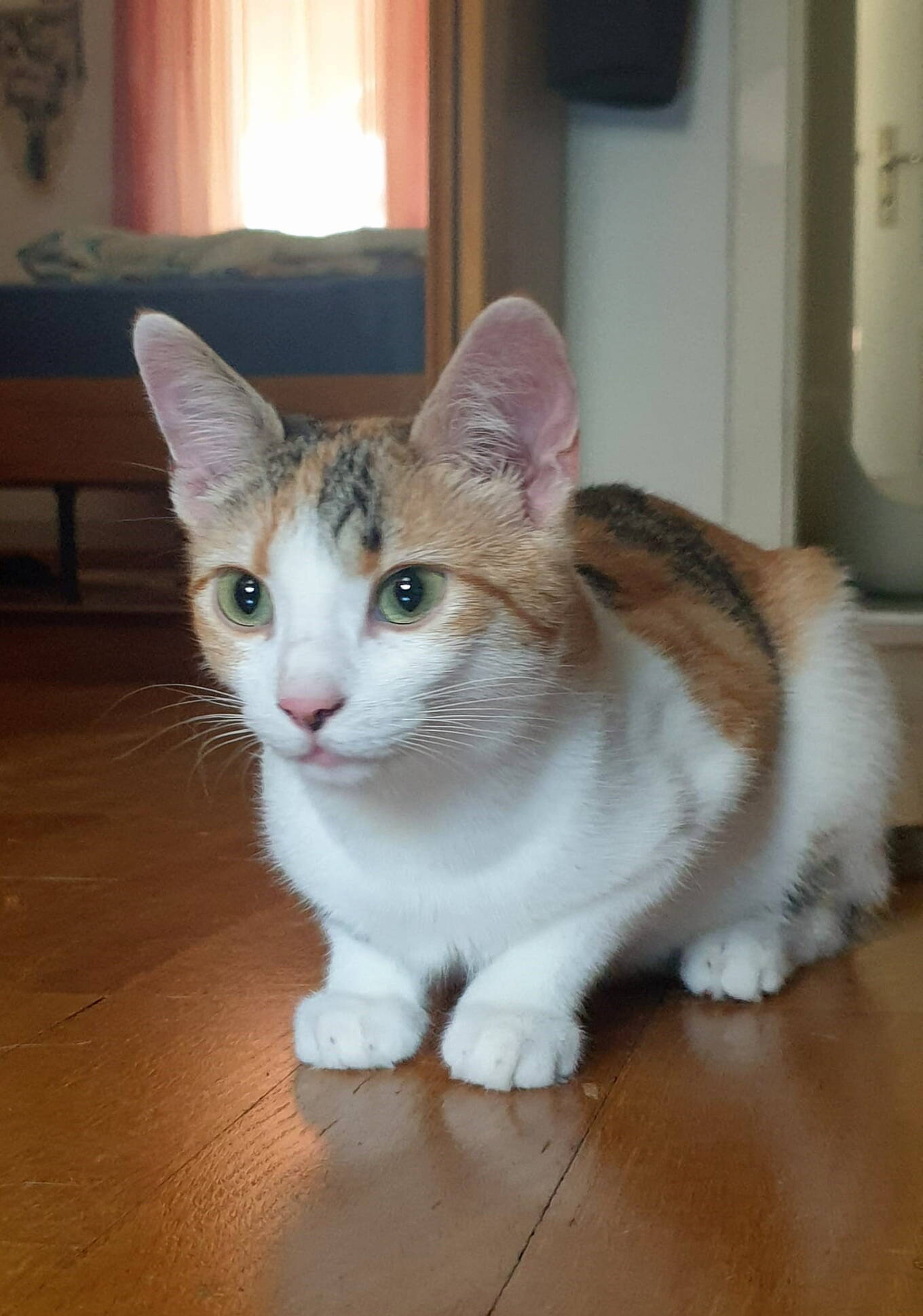 Roxy