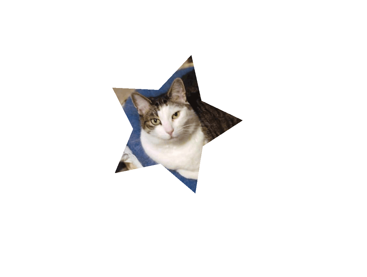 Böni