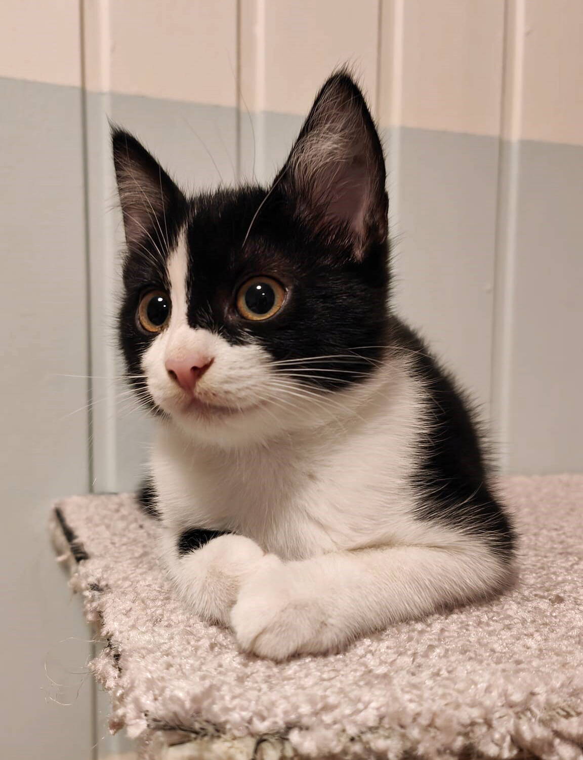 Luna