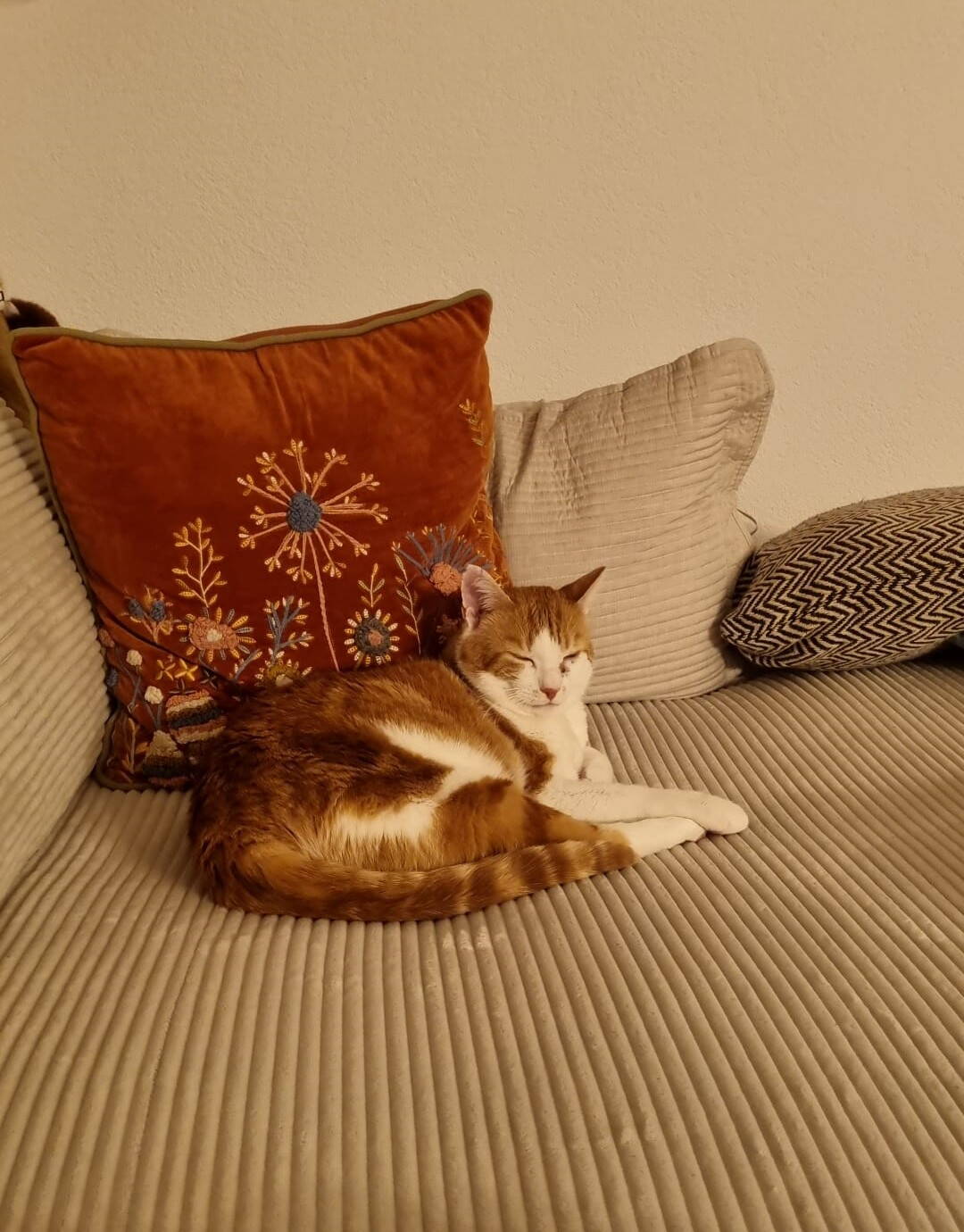Findus