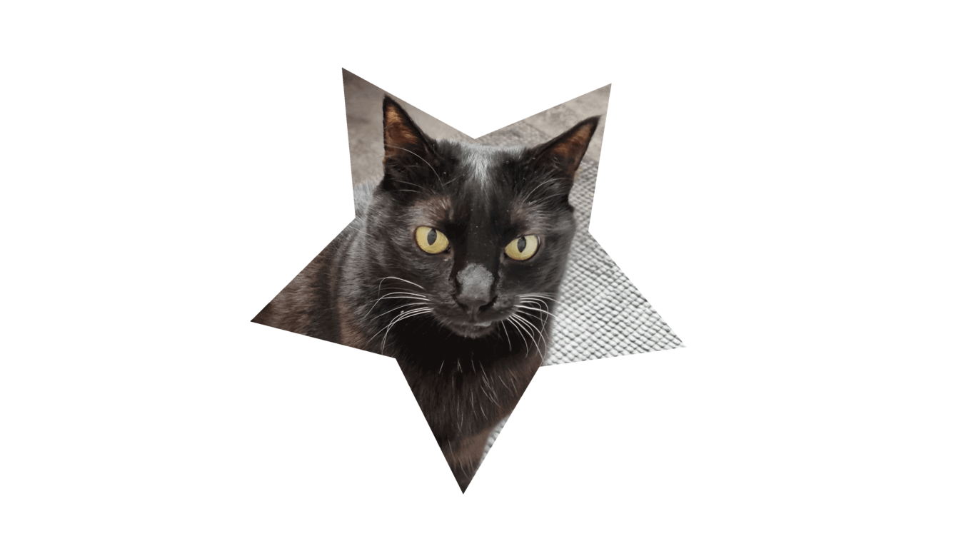 Mügi
