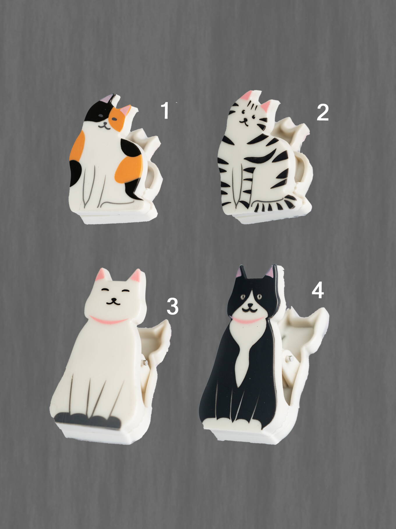 Magnet Katzenpo