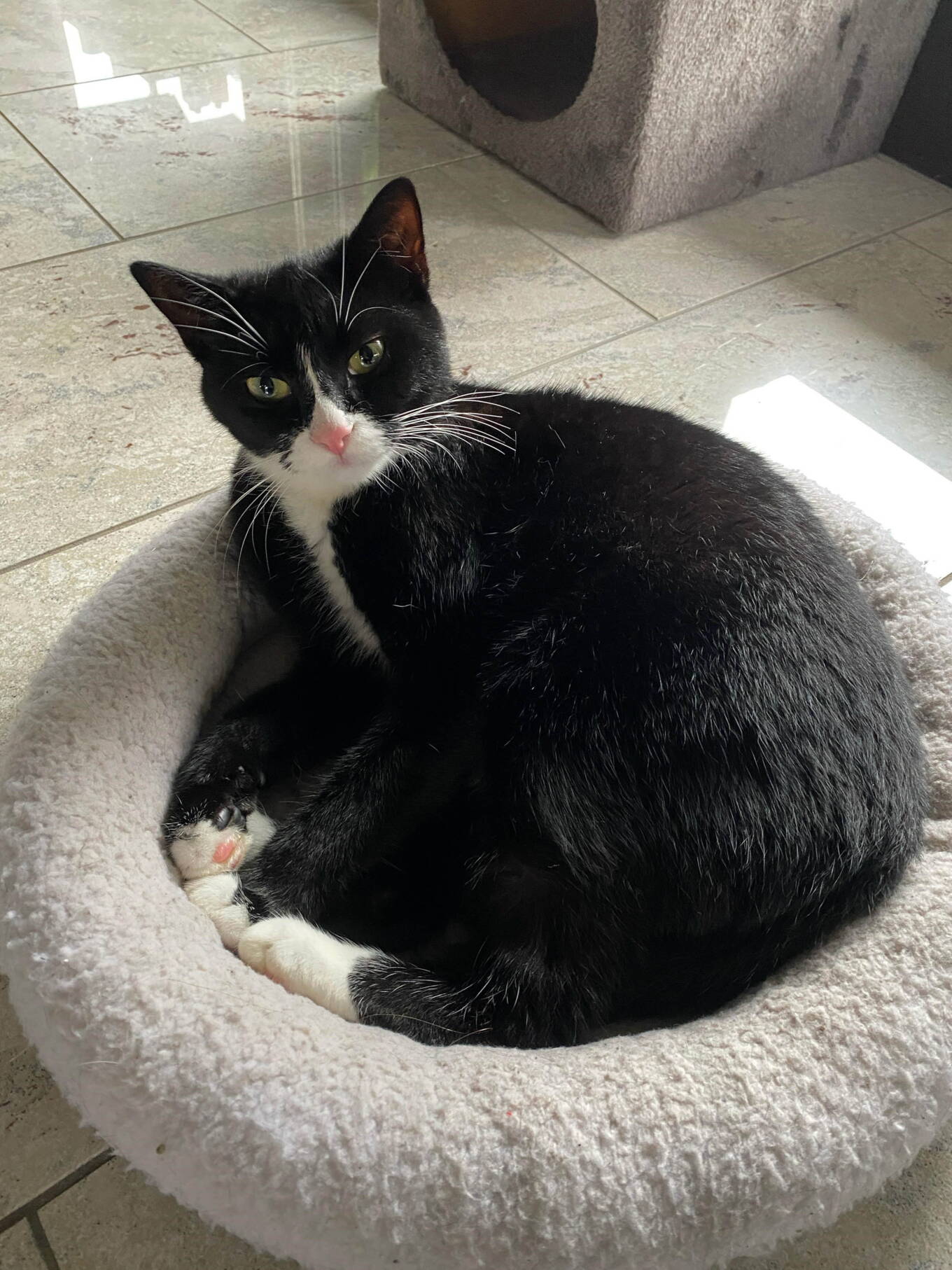 Kali