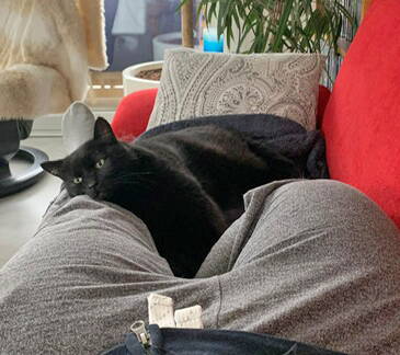 Taio und Zula