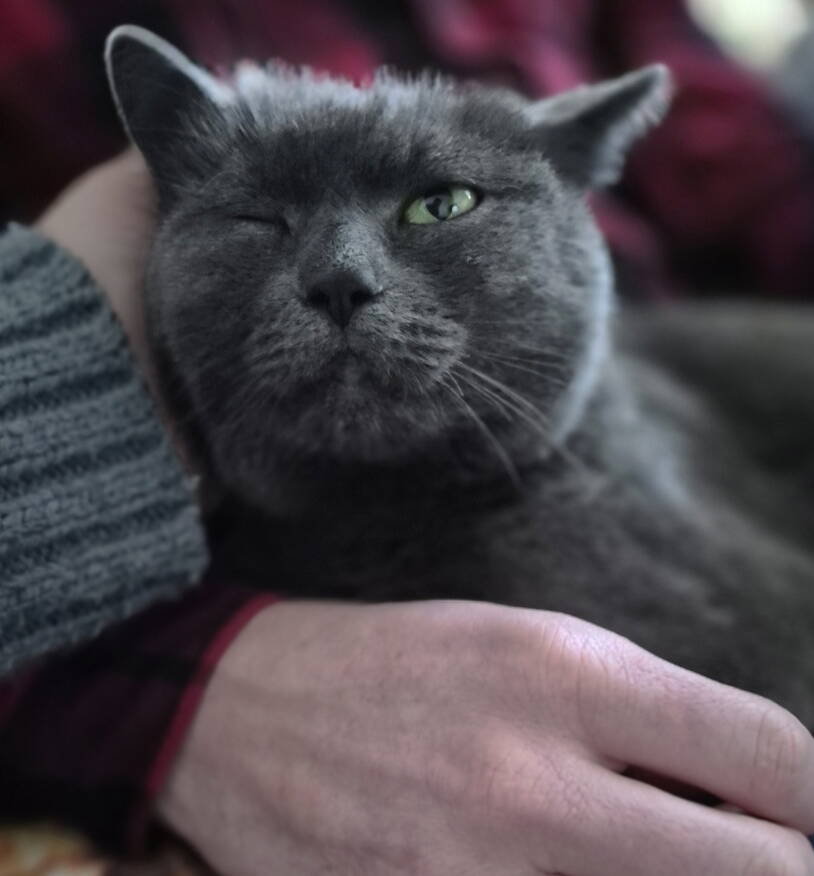 Nila