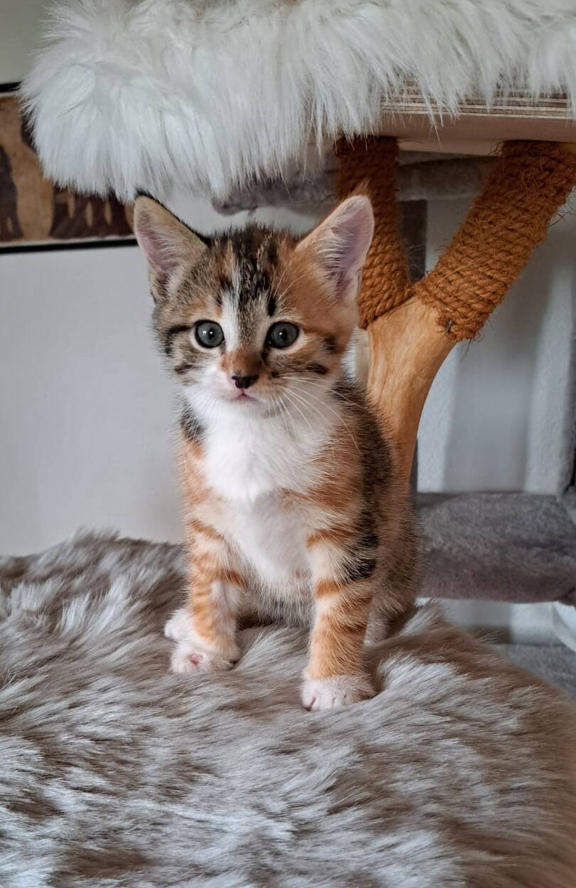 Zoe