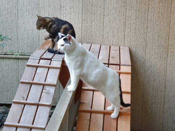 Leonie und Rico