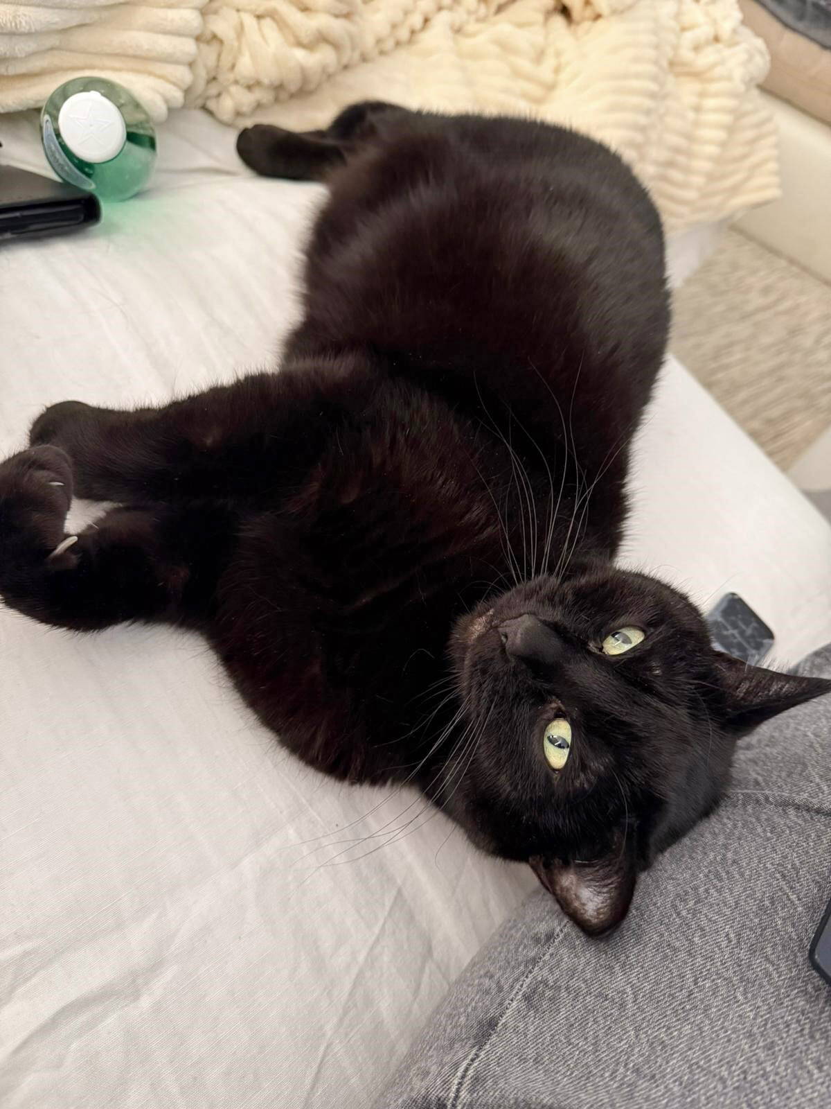 Linus