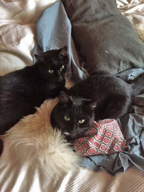 Phoebe und Samie