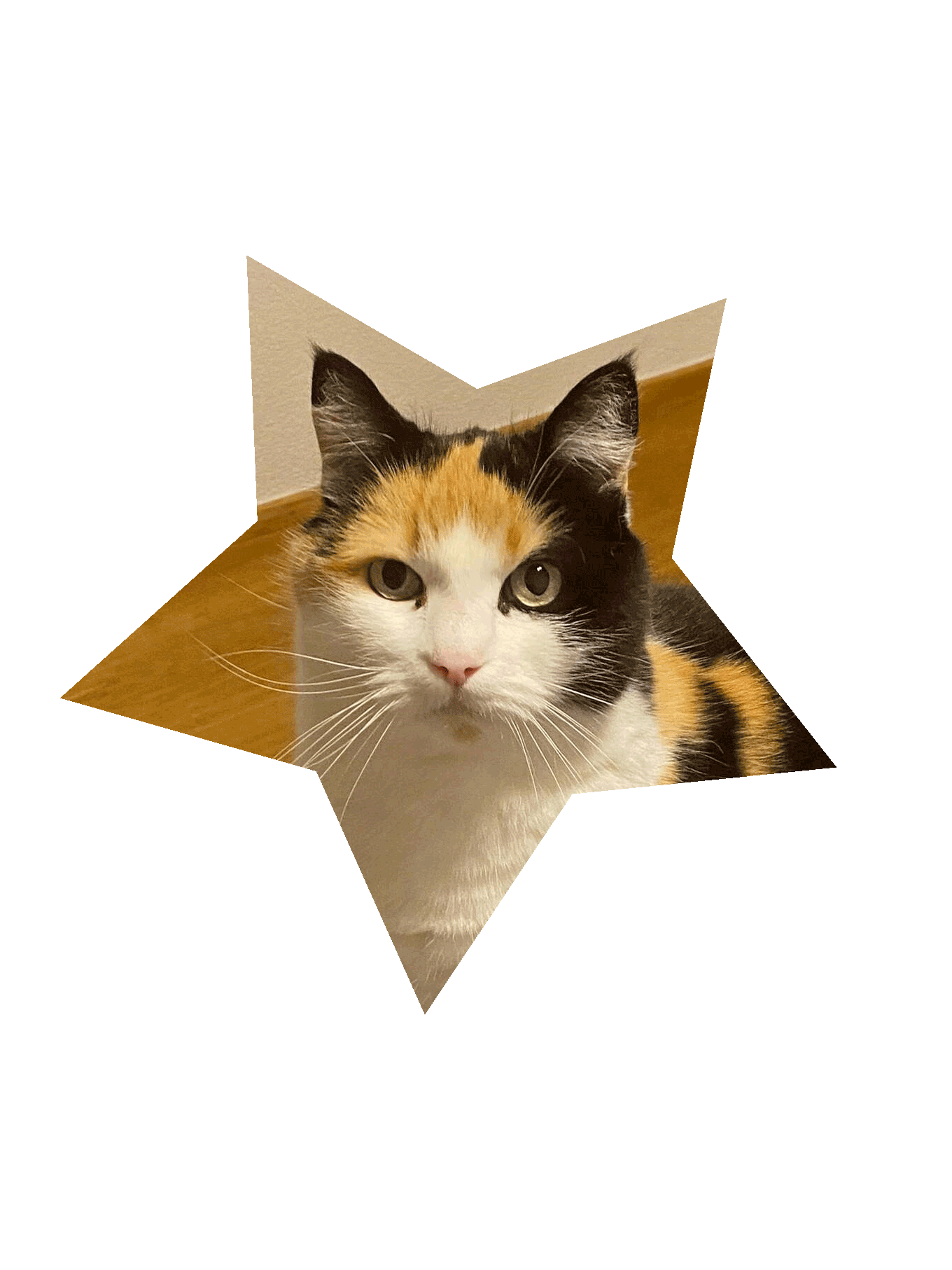 Mira