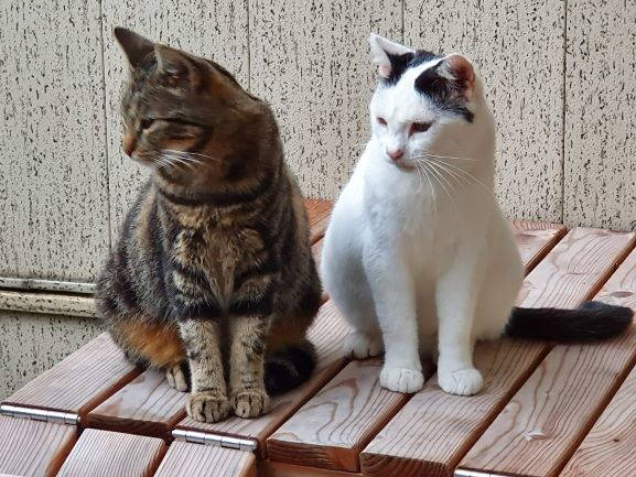 Leonie und Rico