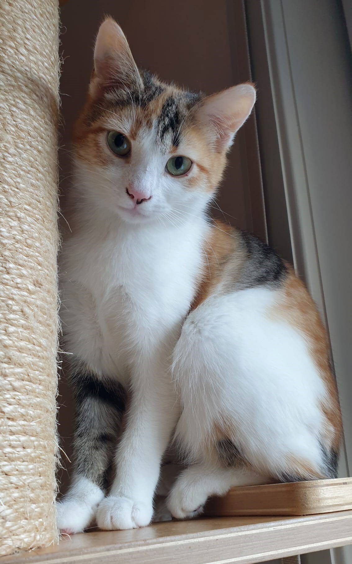Roxy