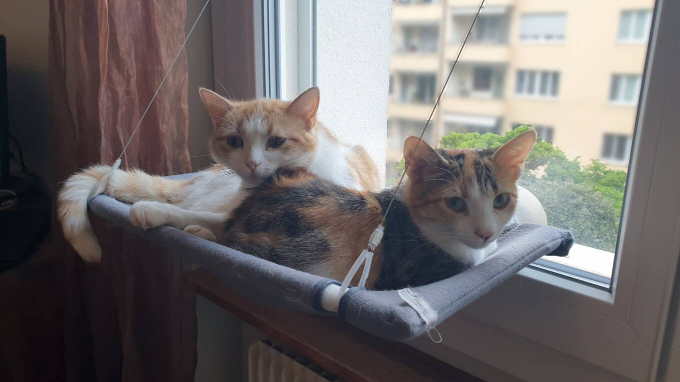 Ruby und Roxy