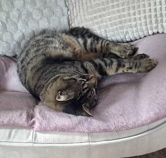 Mäxli