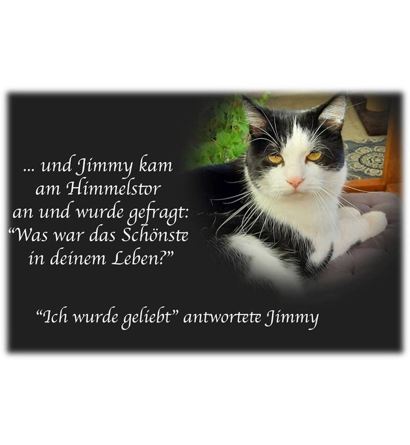 Jimmy