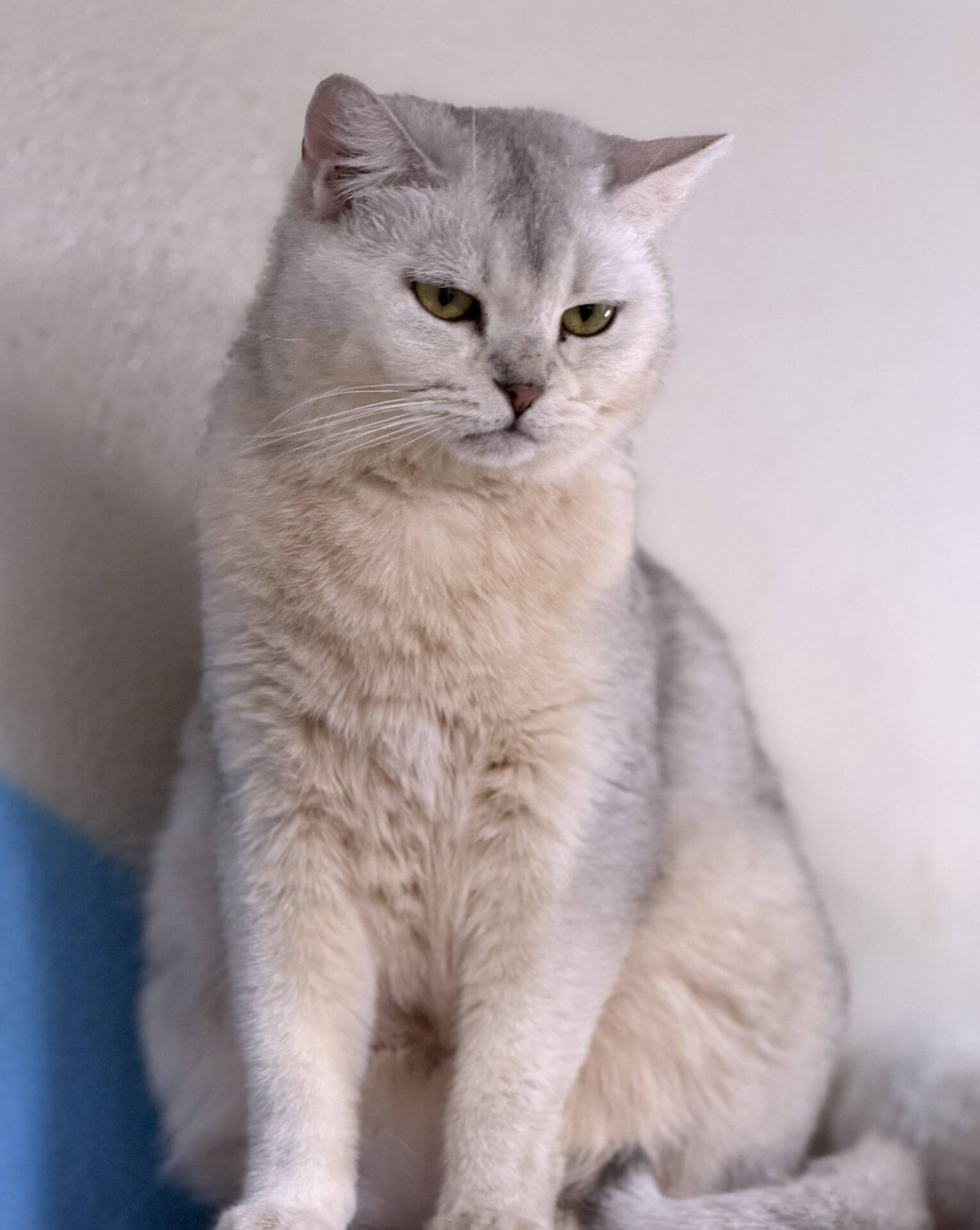 Azra