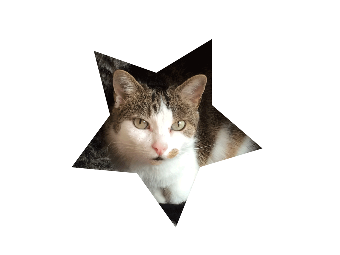 Miri