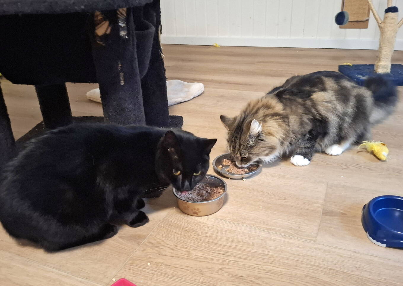 Malou und Irma