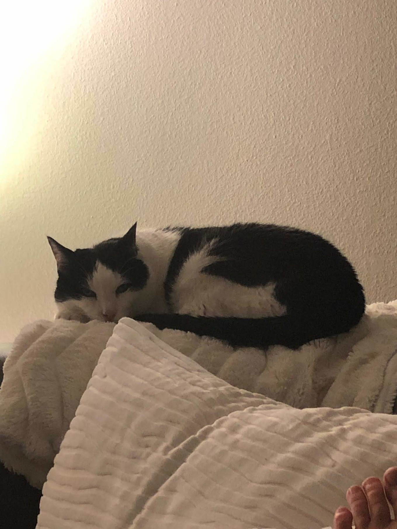 Sputnik