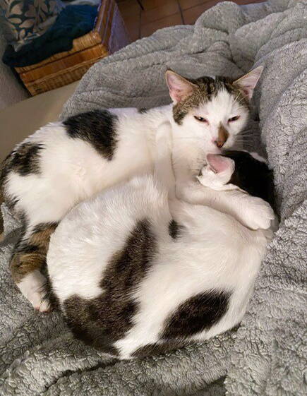 Yoshi & Yara