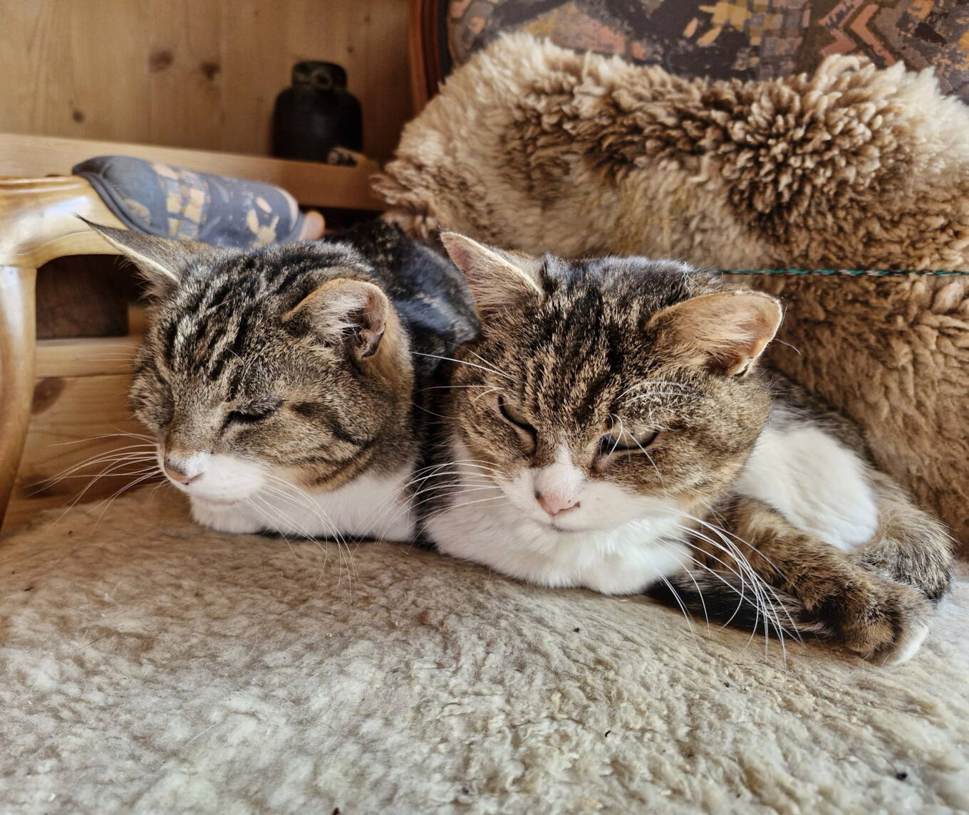 Nayeeli und Shivali