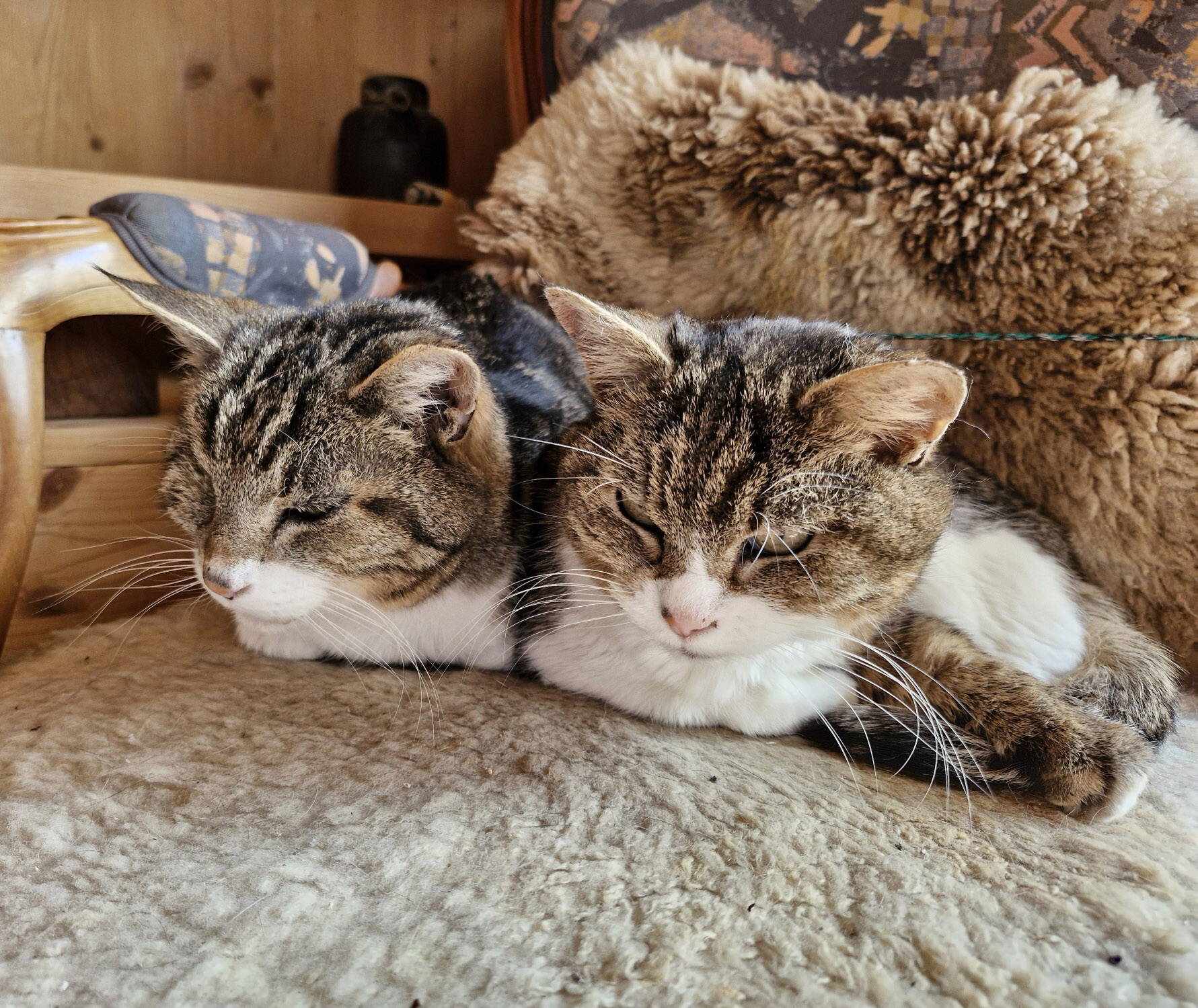 Nayeeli und Shivali