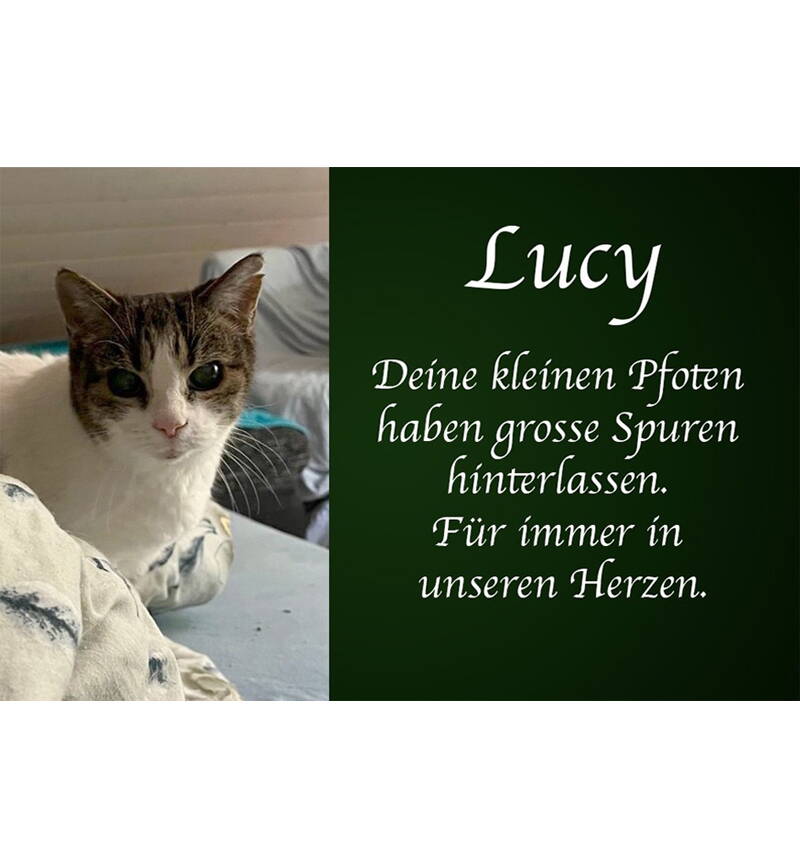 Lucy