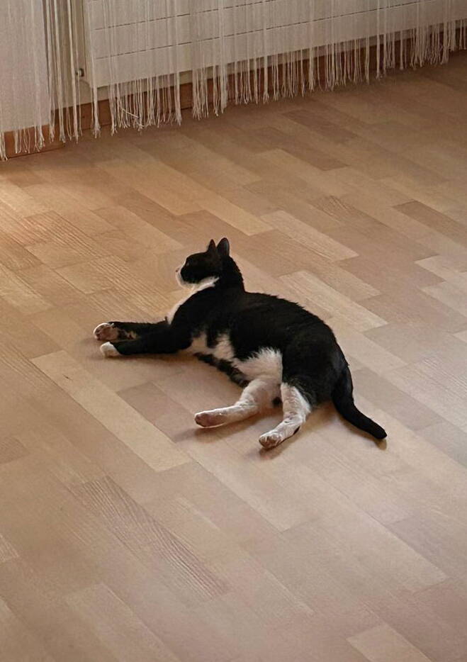 Zira