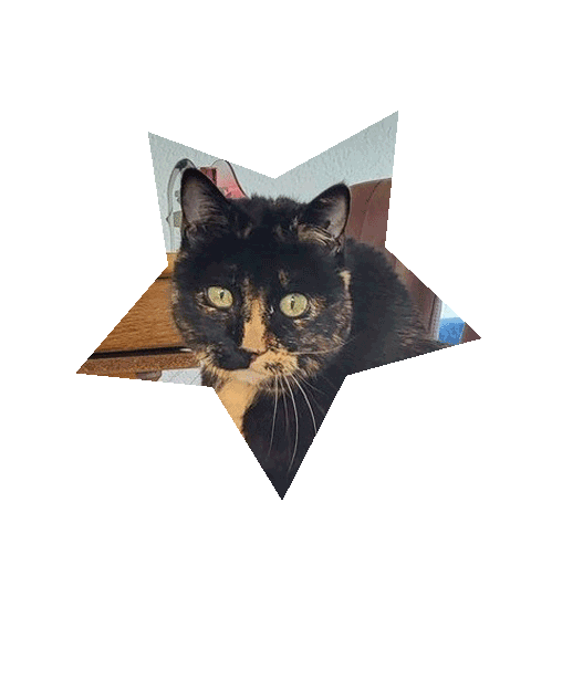 Mimi