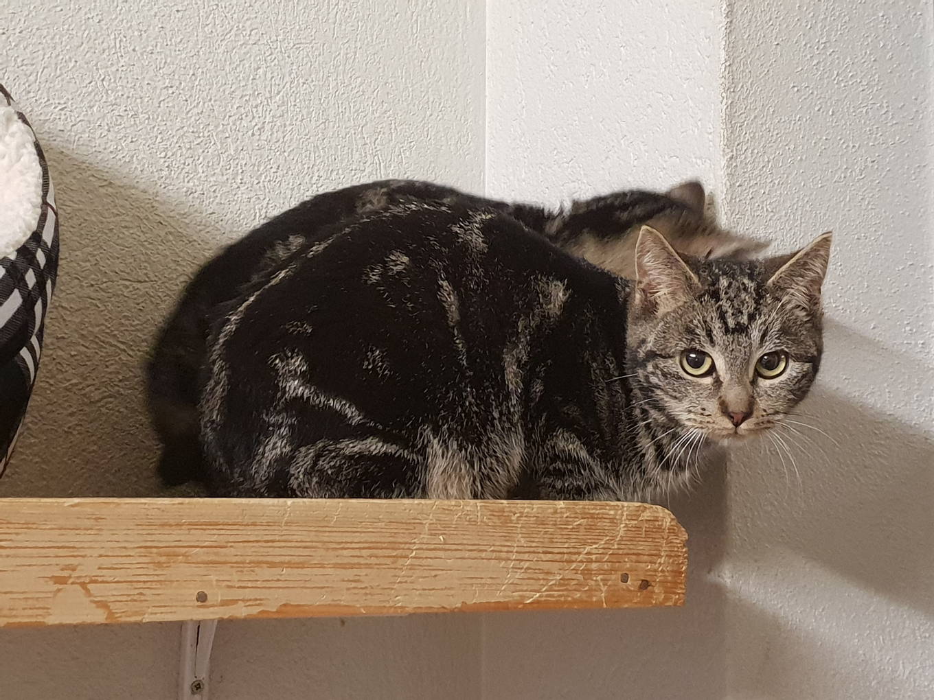 Nikita und Nuno