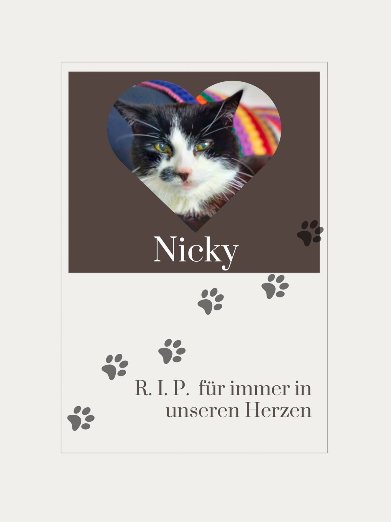 nicky_20250613b.jpg