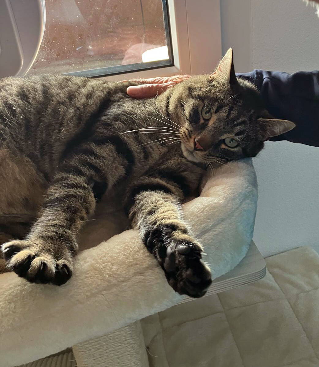 Mäxli