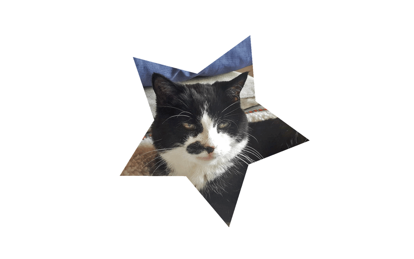 Nicky (Patenbüsi)