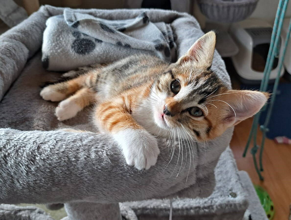 Zoe