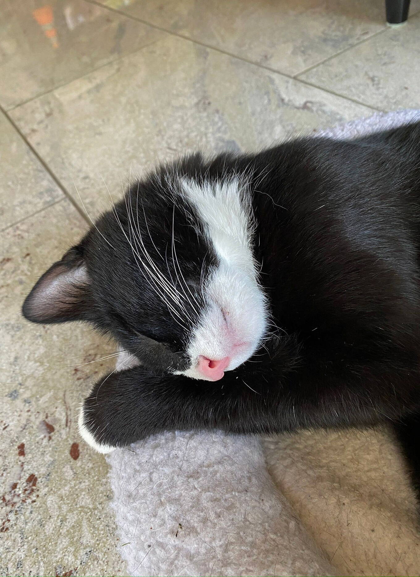 Kali