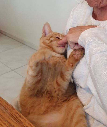 Mucky (Pumuckl)