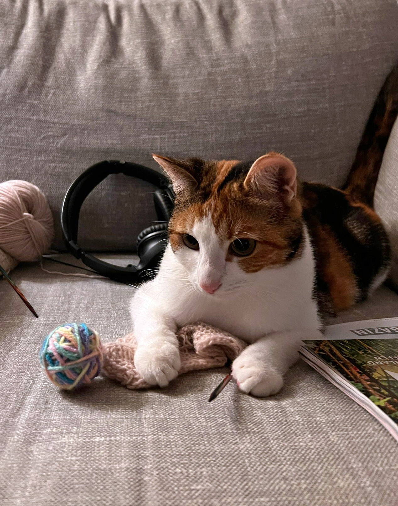 Suki