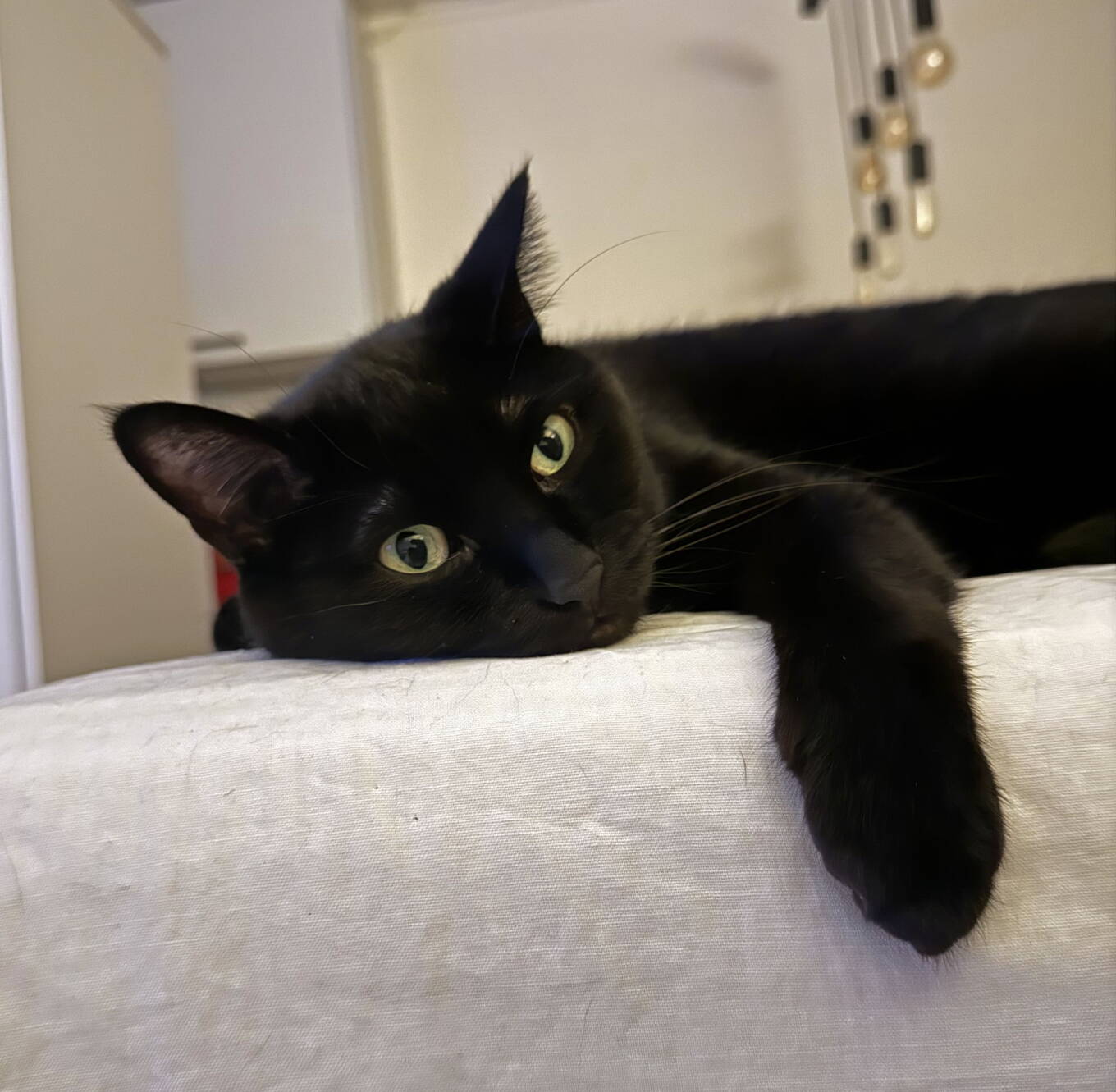 Linus