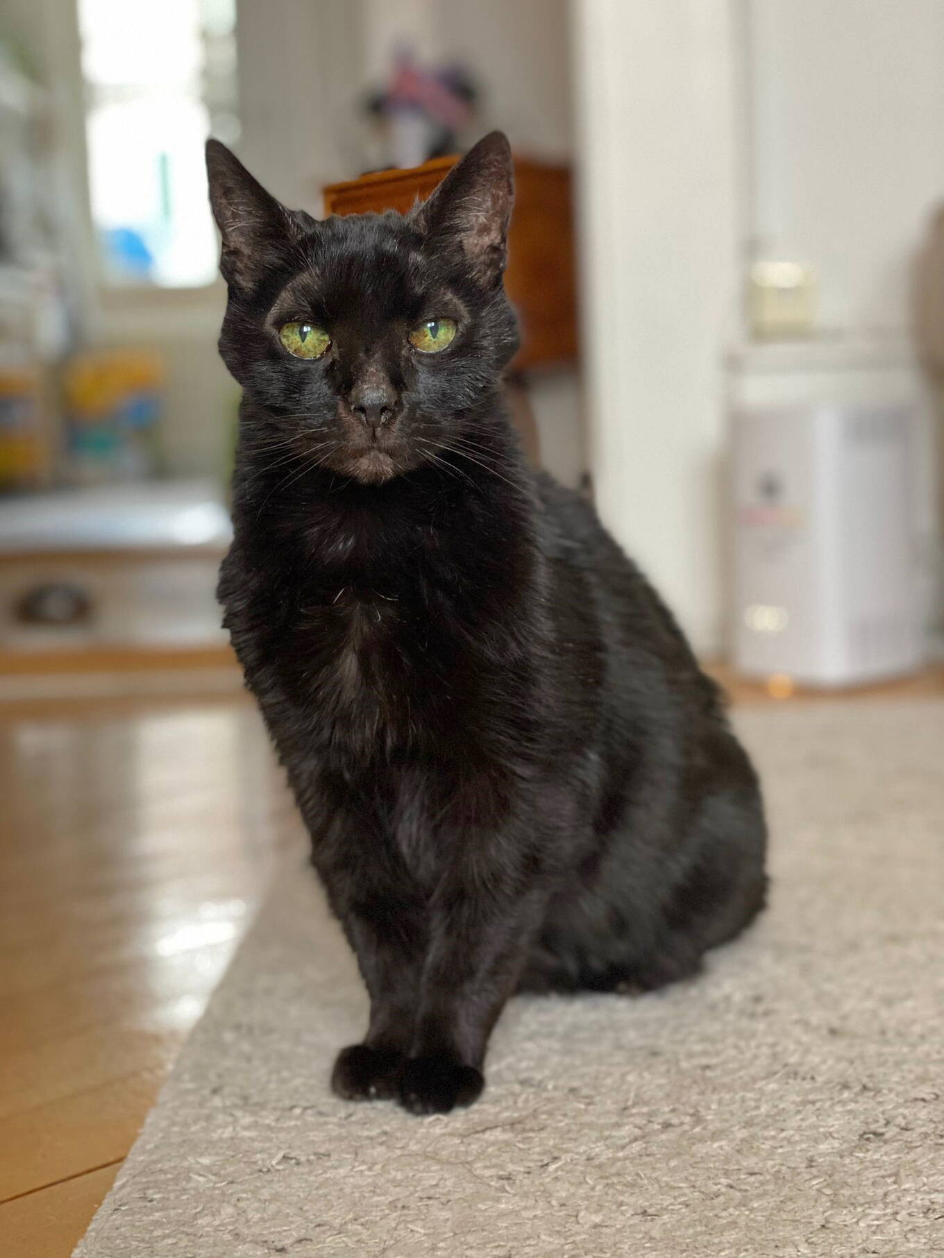 Cosé