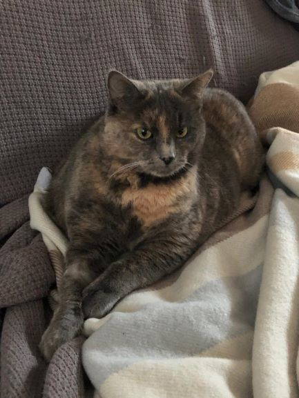 Meggy