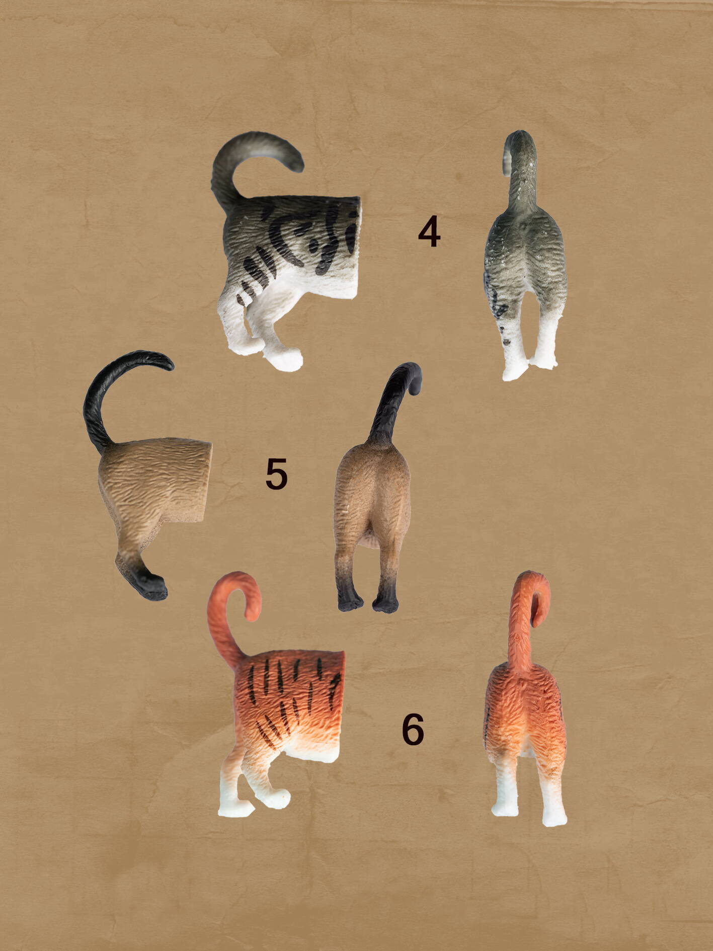Magnet Katzenpo
