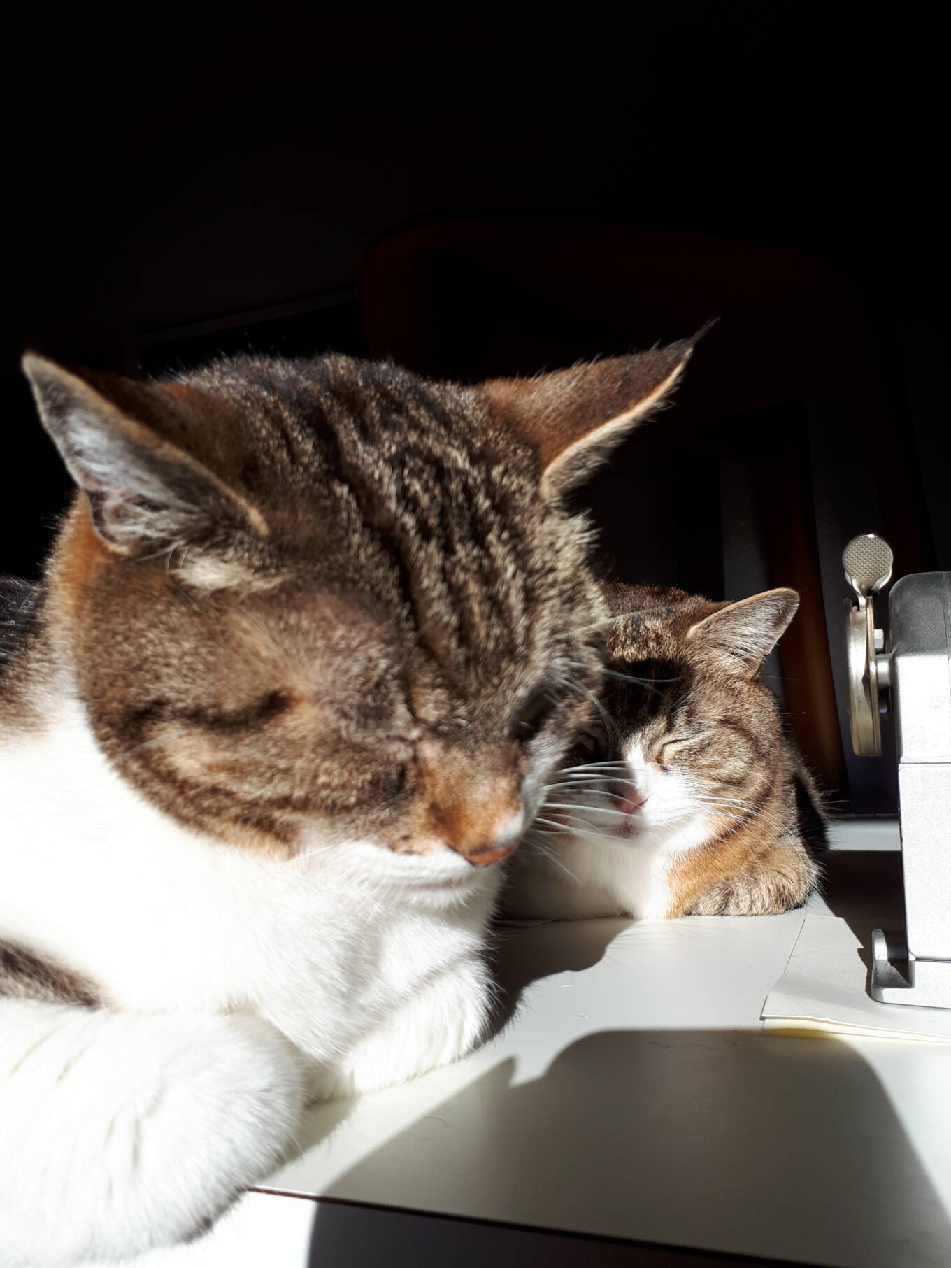 Nayeli und Shivali